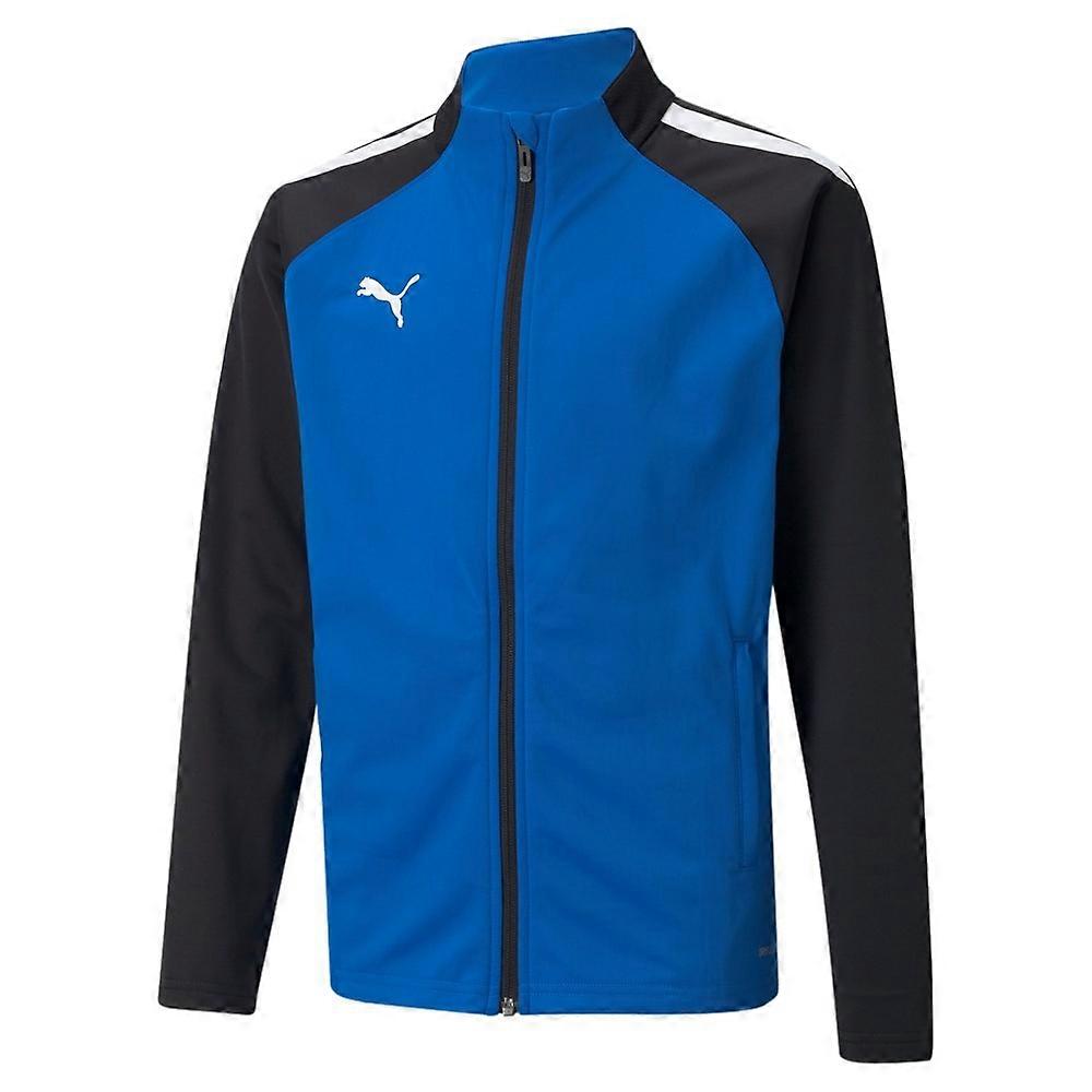 Sweatshirts Puma Teamliga Poly 65723502