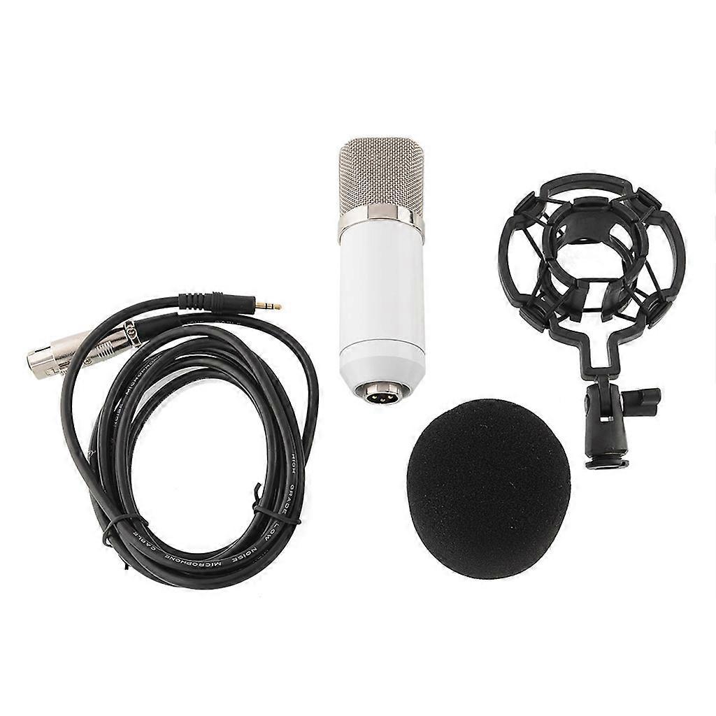Duck-Billed Microphone for Computer/Laptop Heart-Shaped Directional Mic with Audio Pickup for Broadcasting  white