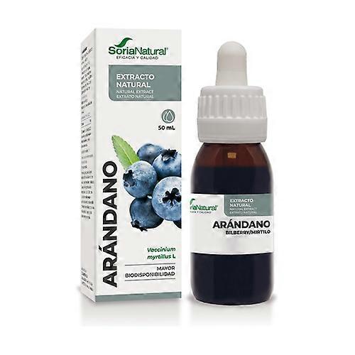 Blueberry Extract (XXI Formula) 50 ml