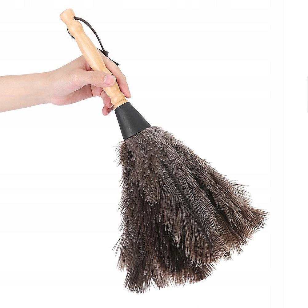 Brush Distribution Dust Brush With Ostrich Feathers