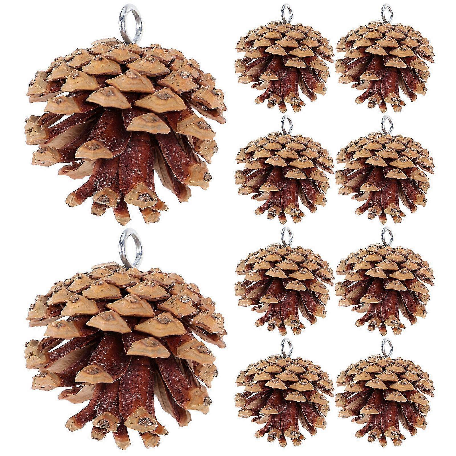 Natural Pine Cone Chew Toy for Birds, Bite-resistant Parrot Foraging Plaything, 6X6cm