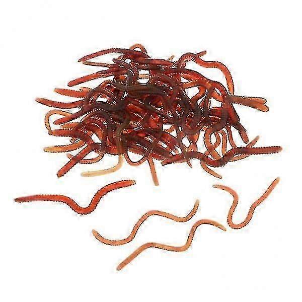 2xImitation Earthworm Design Artificial Soft Silicone Bait Bionic Fishing Lure hr