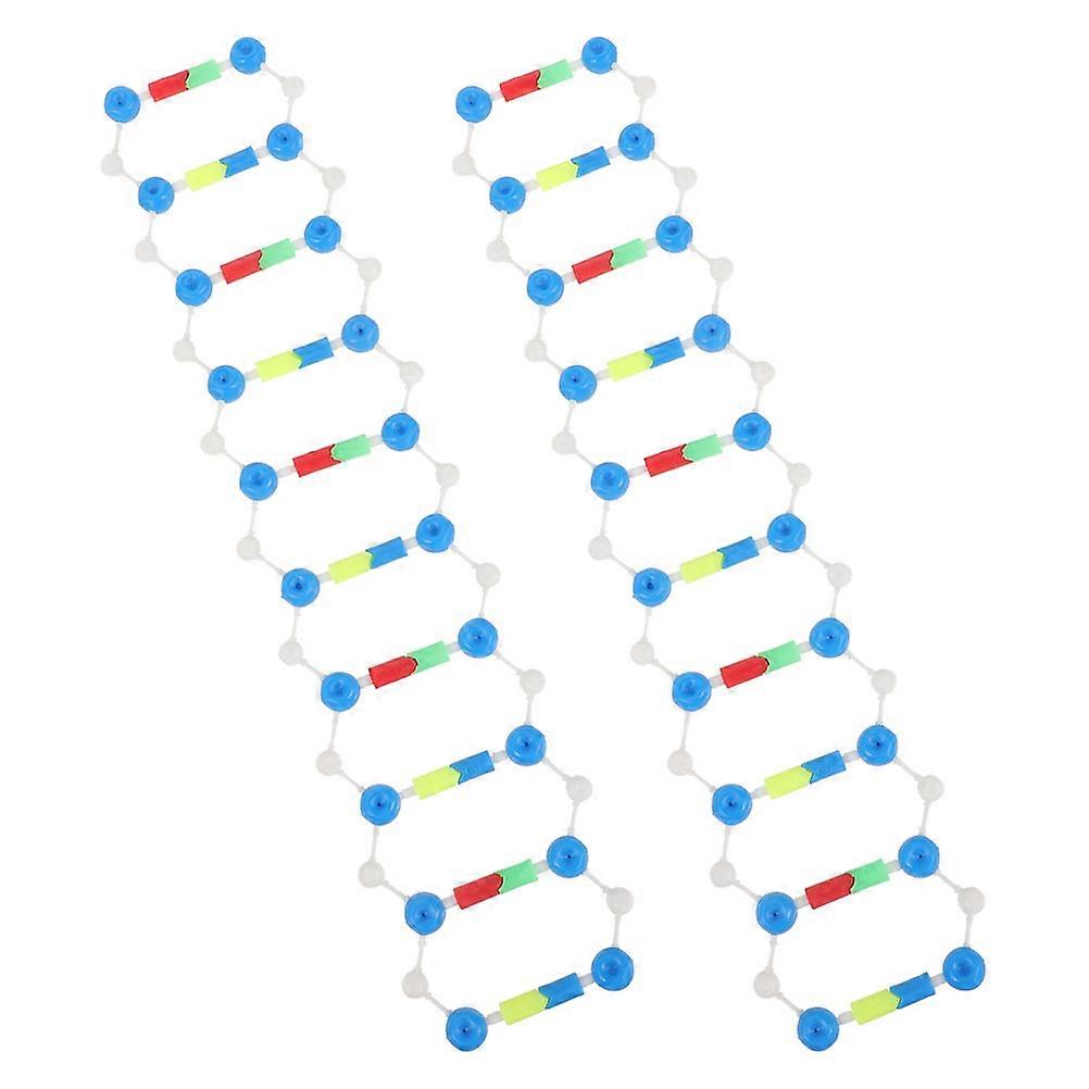 Dna Double Helix Educational Teaching Model with Unique Structure 2Pcs