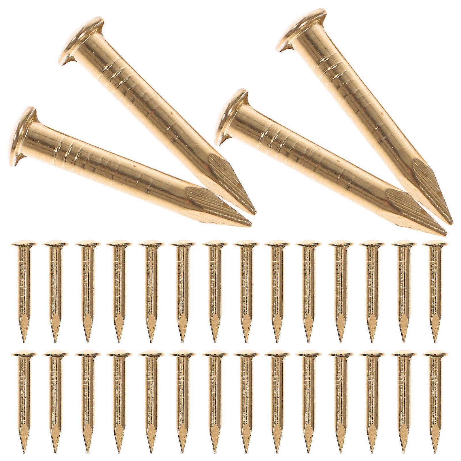 Small Nails Copper Nails for Hanging Pictures with 1Pack for DIY Use