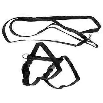 Rabbit Harness for Running Adjustable Sky-Blue Leash Lead