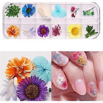 Gedroogde bloemen, gedroogde bloemen voor Nail Art, 3D Nail Art Sticker/Decals, echte natuurlijke kleine geperste gedroogde bloemen met sterrenhemel, bladeren, vijf bloemen, en 