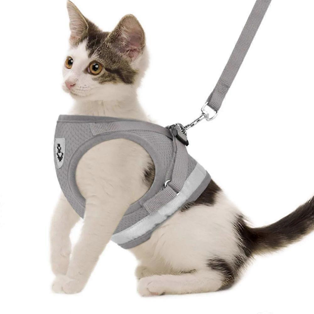 Hundbröstrem Dragrep Reflekterande andningsbart mesh-bröstband