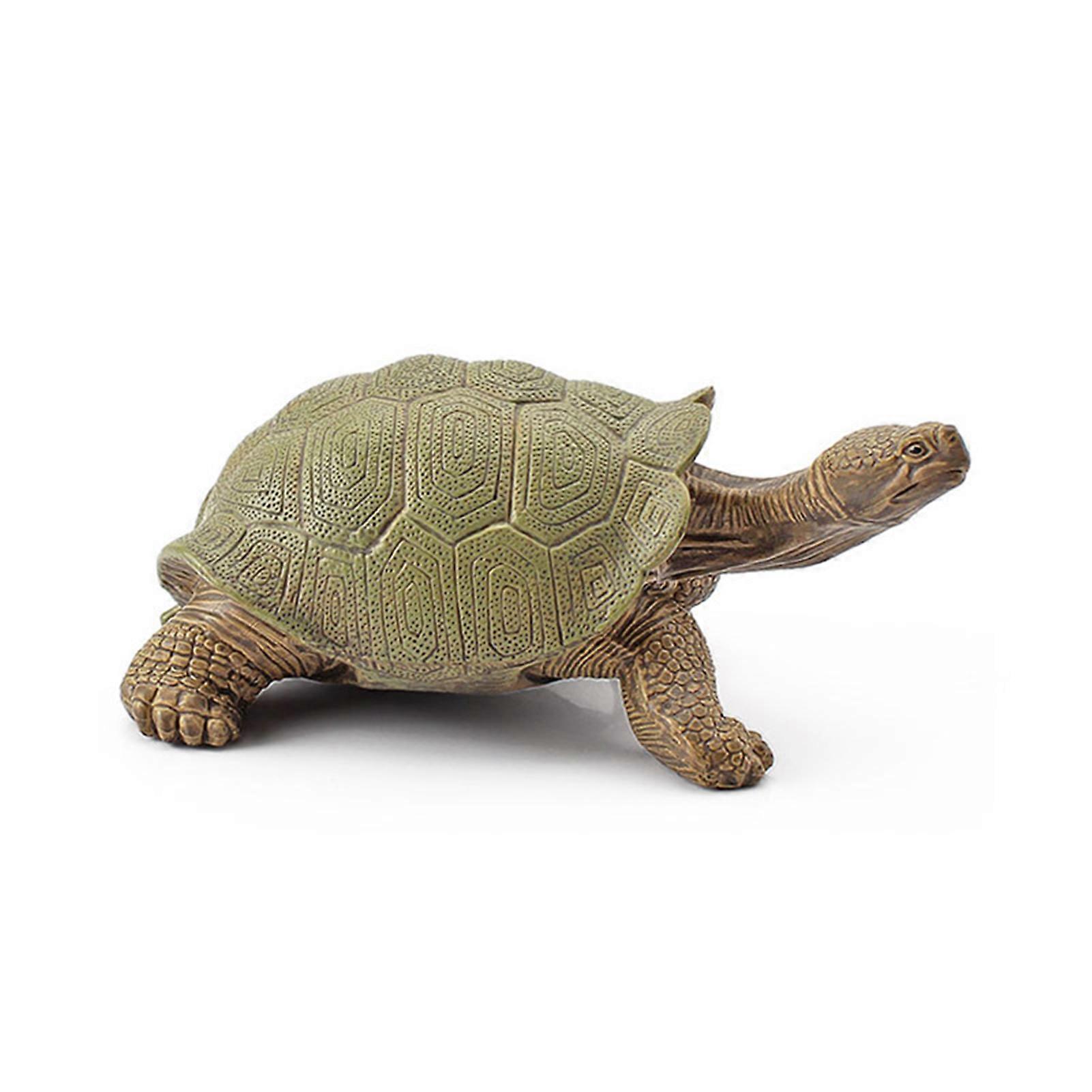 Sulcata tortue moule vif clair texture 3D effet mer océan vie simulation modèle animal pour enfants