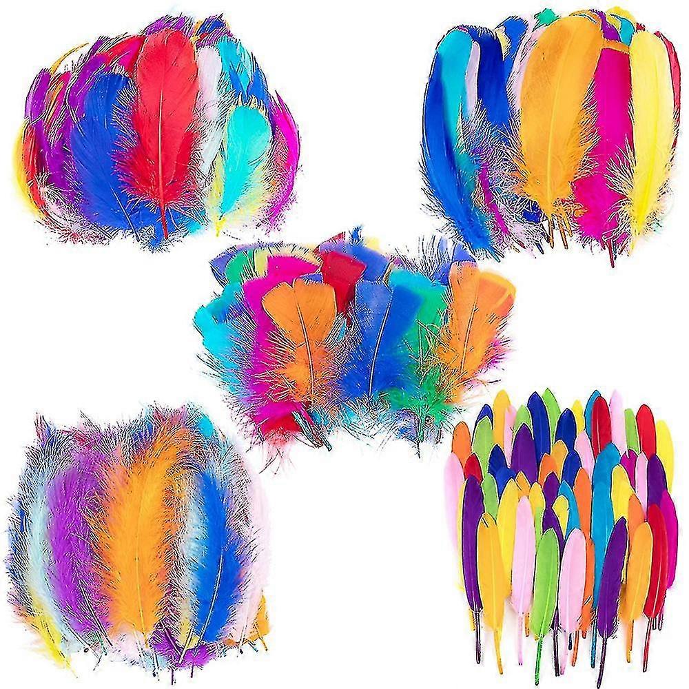 Colorful Feathers,200pcs Feather For Crafts Striking Feathers