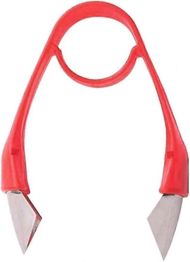 Vegetable Tool For Kitchen Fruit Corer,fruit Core Remover(10pcs, Red)