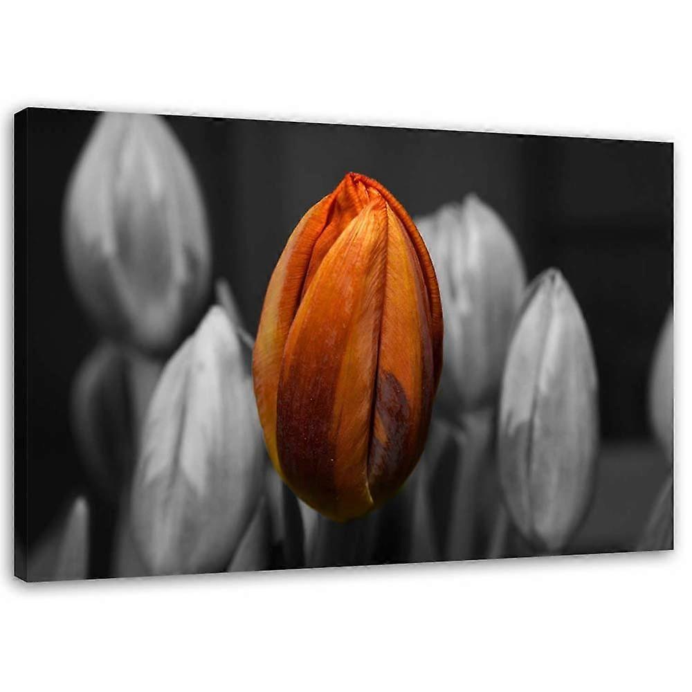Impression sur toile, Tulipe orange - 90x60
