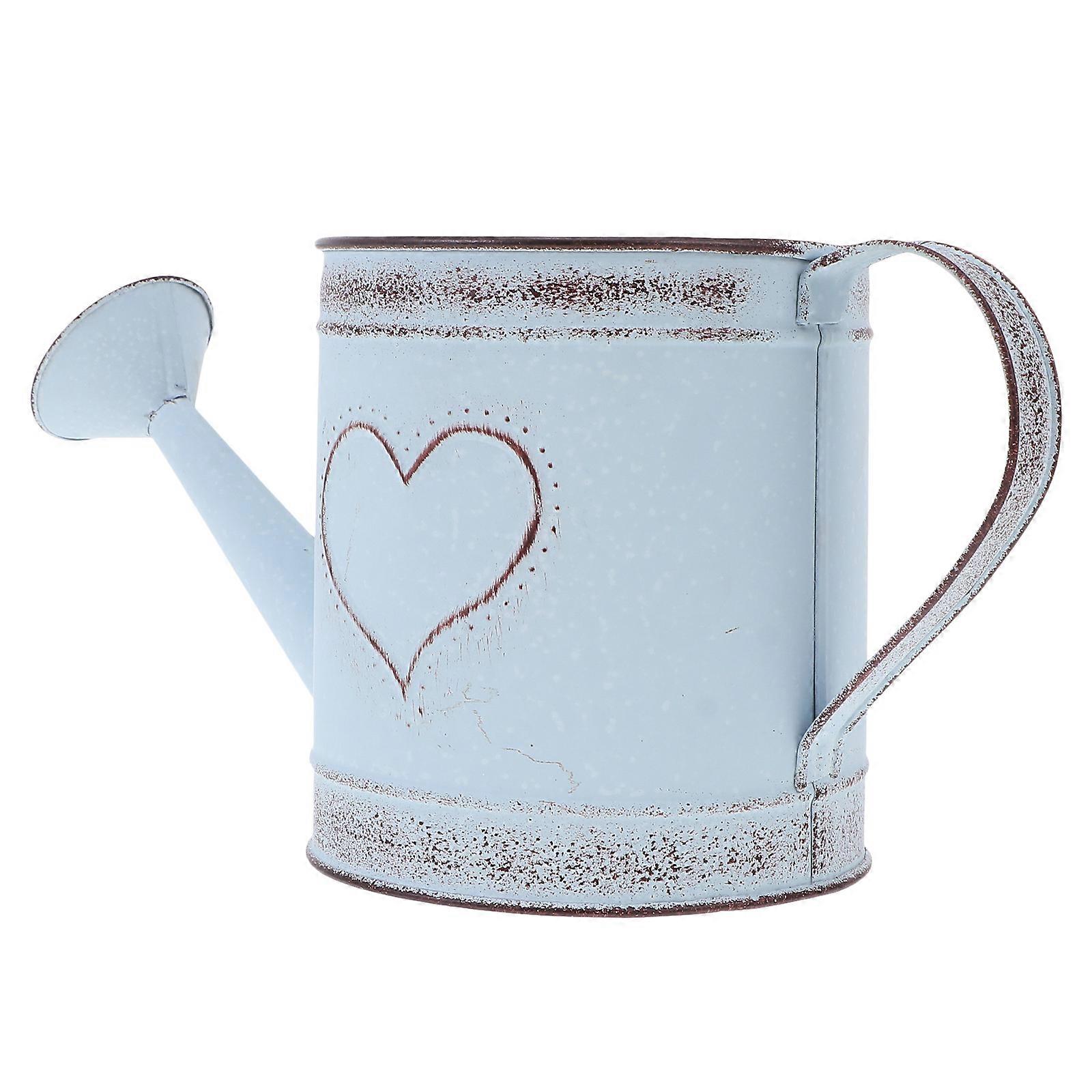 Vintage Iron Watering Can for Garden with Appearance and Durable Construction