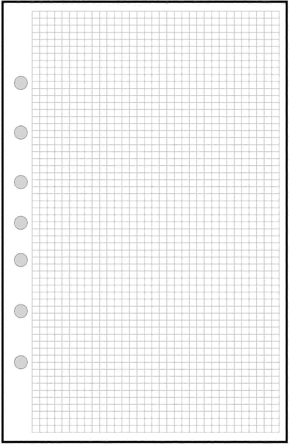 Classic Size Graph Paper Refill, 1/8' Spacing, Size  7 Hole Punching for 7 Ring Notebooks such as Franklin, Etc (5.5' x 8.5') Graph Paper 1/8'
