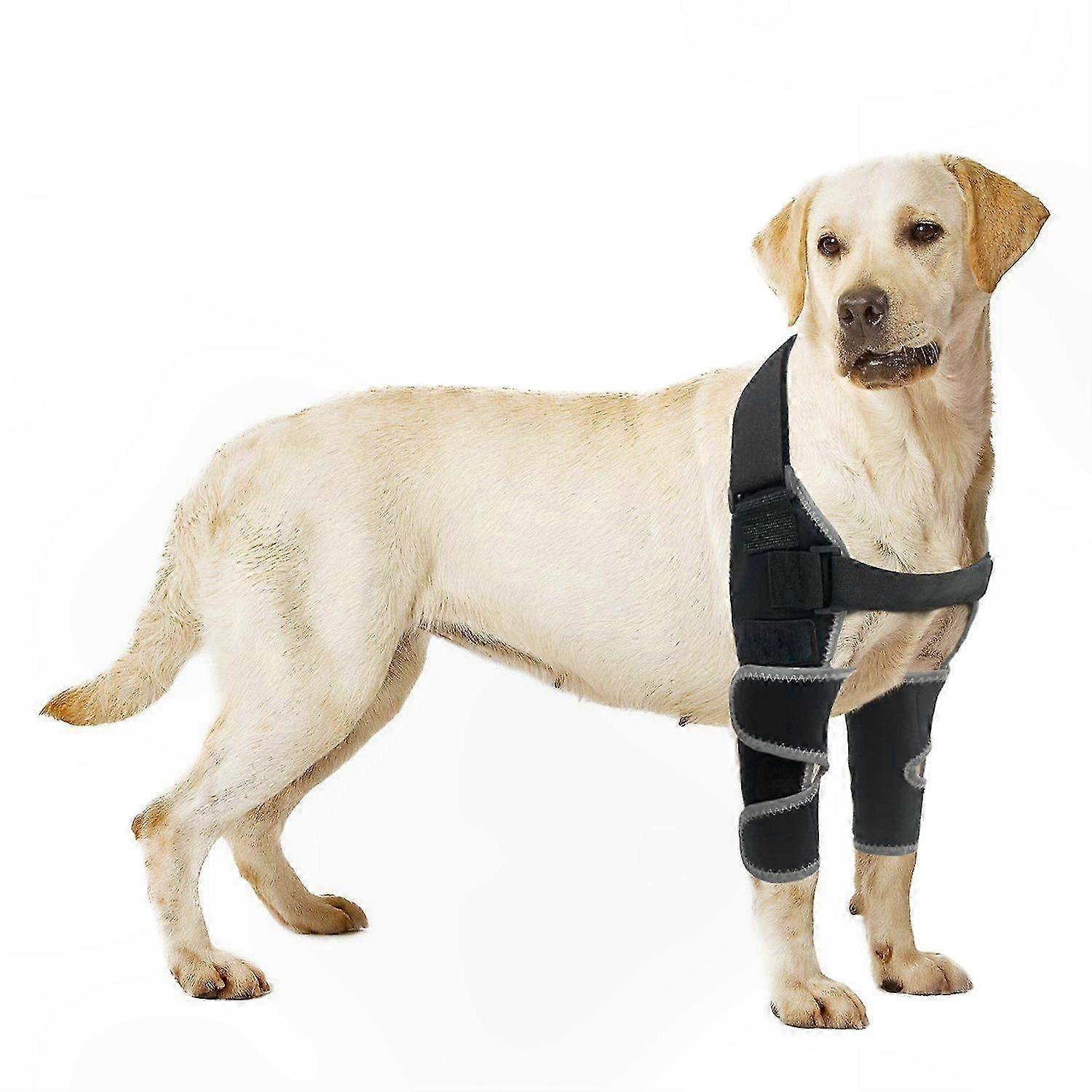 Adjustable Elbow Support for Dogs - Foreleg Protector with Comfort Padding for Pain Relief and Joint Protection