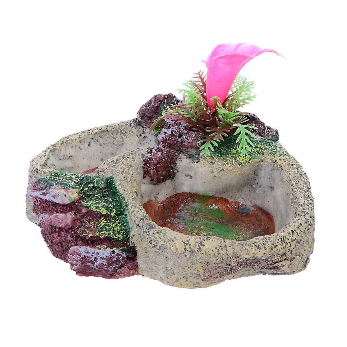 Reptile Food Bowl with Cactus Design for Pets 2Pcs Kit