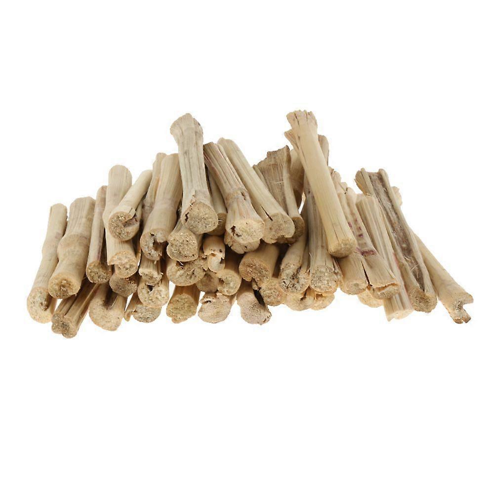 teeth cleaning parrot chew toy