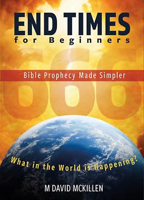 End Times For Beginners by M David McKillen Paperback