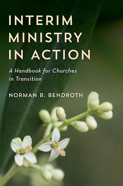 Interim Ministry In Action by Norman B. Bendroth Paperback