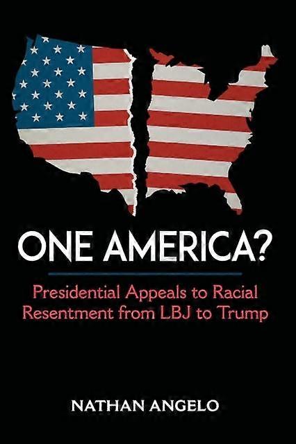 One America by Nathan Angelo Paperback Book