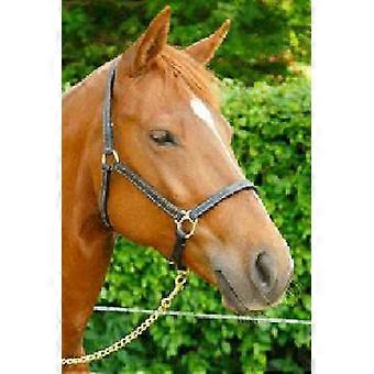 Horse Luxury Leather Halter