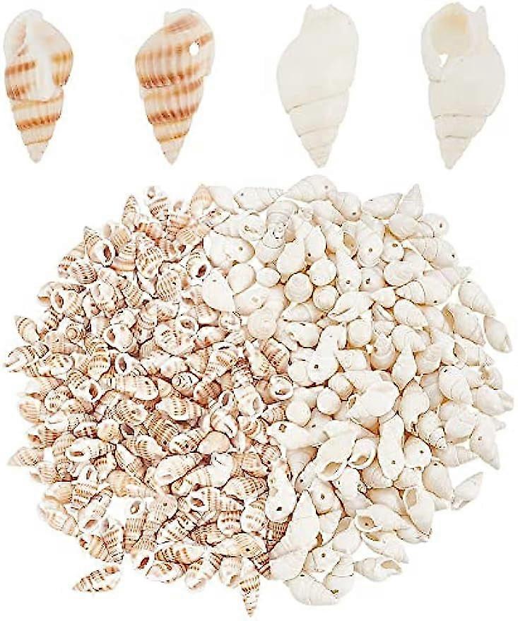 300pcs Natural Seashell Beads 2 Styles Ocean Beach Spiral Shells Craft Sea Shells Charms with 1mm Hole