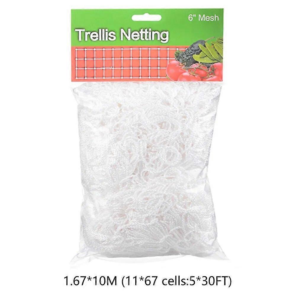 Garden Plants Climbing Net Strong Nylon Net Loofah Morning Glory Flower Vine Netting Support Net Grow Holder Trellis Netting