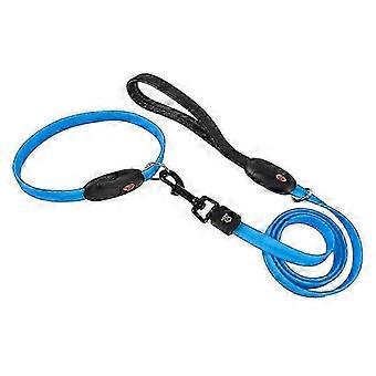 Pet Electroluminescent Leash Collar Usb Charge Led Dog Walking Collar Leash Blue