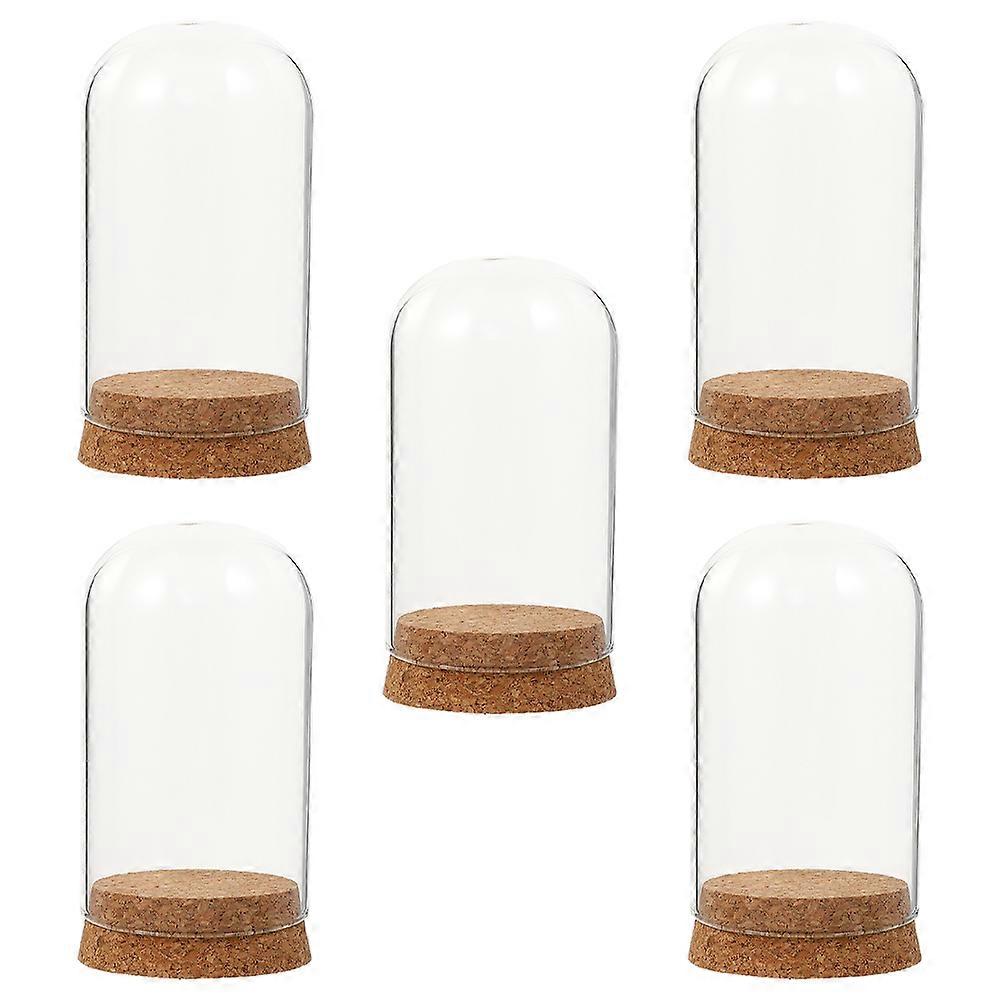 Assorted Domes with Fine Workmanship for Decor Micro Landscape and Figurines 5 Pieces