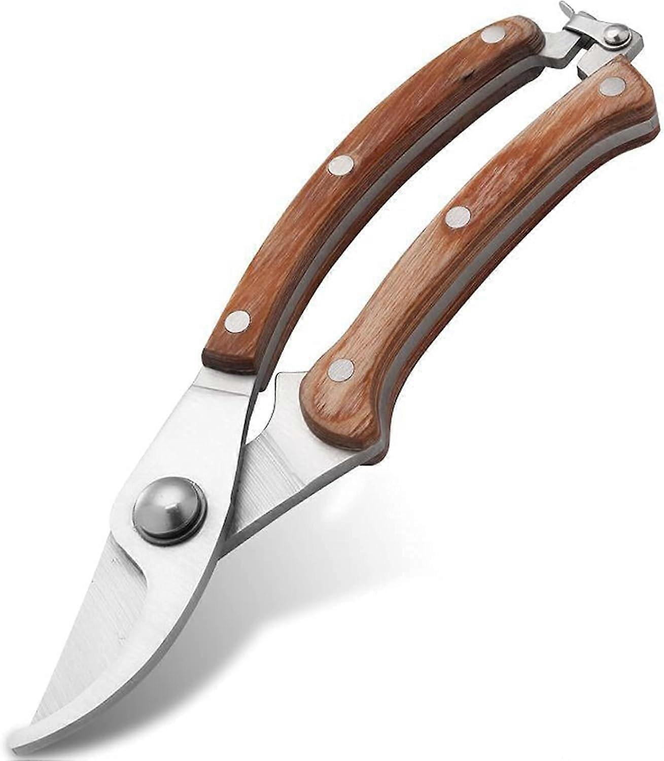 Stainless Steel Pruning Shears With Wooden Handle For Bonsai And Tree Branches