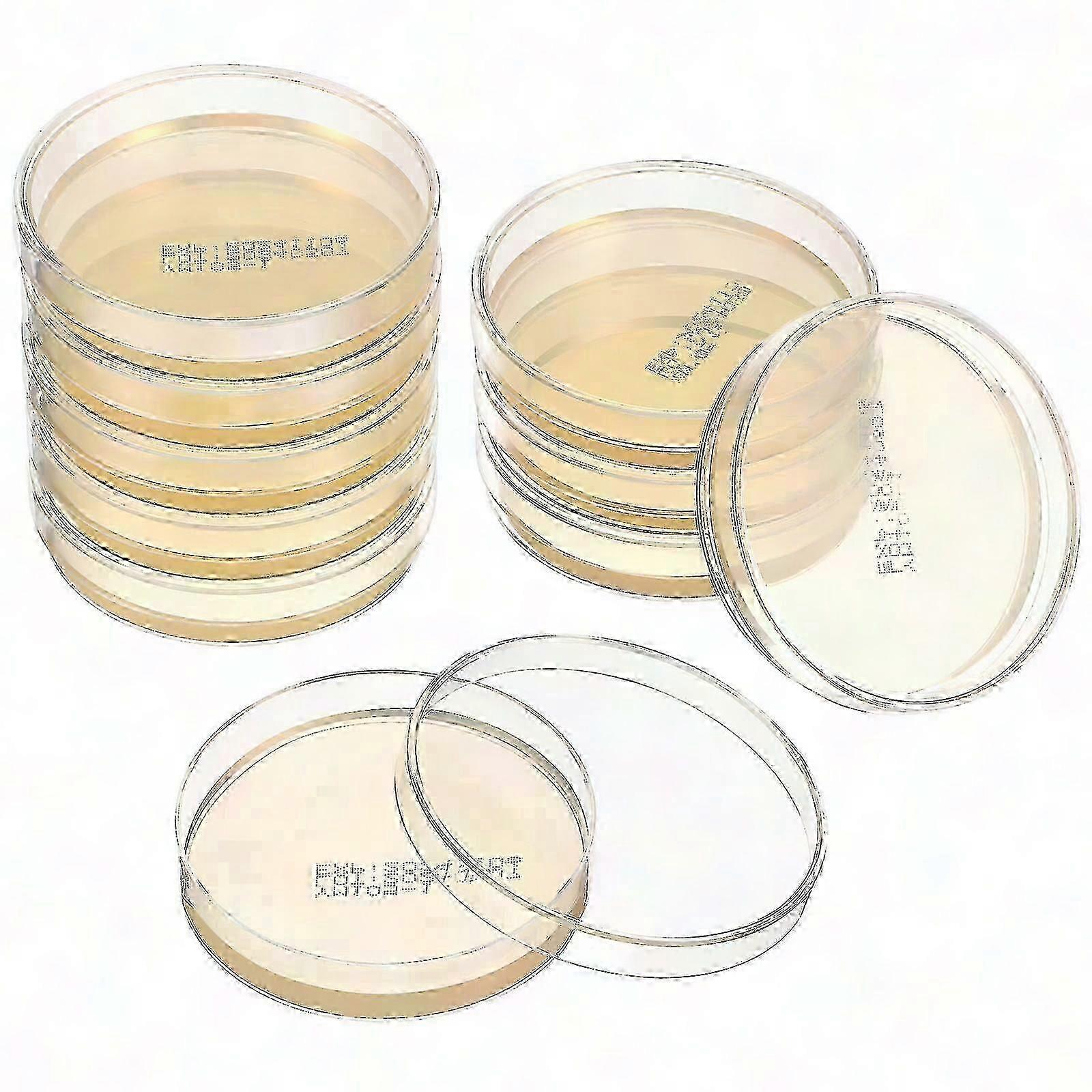 10 قطع من أطباق أجار بتري مسبقة التحضير لتجارب العلوم المنزلية ومستلزمات المختبر