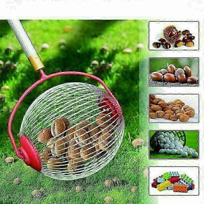 Nut Picker Upper Chestnut Picker Roller With Telescopic Pole Collection Roller Collection Basket - The Smallest Fruit Picking Machine For Nuts (Large