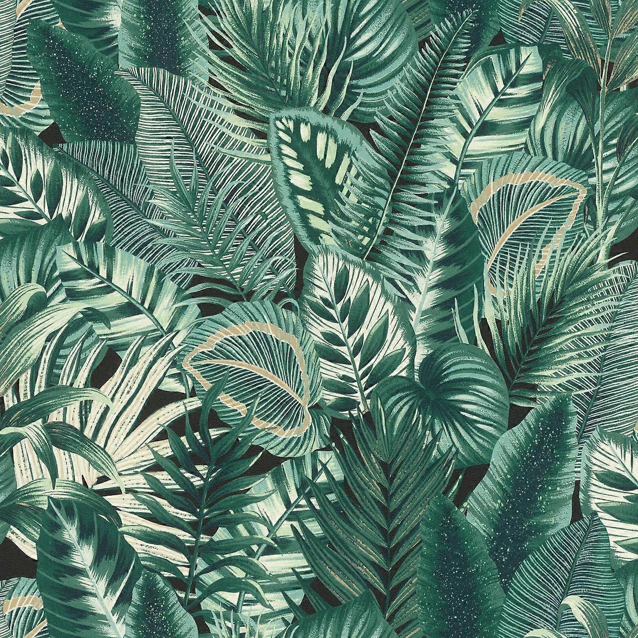Feuille tropicale verte de Rasch