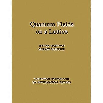 Quantum Fields on a Lattice (Cambridge Monographs on Mathematical Physics) (Cambridge Monographs on Mathematical Physics)