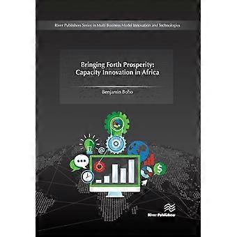 Welvaart creëren: Capaciteitsinnovatie in Afrika (River Publishers-serie over innovatie in meerdere bedrijfsmodellen, technologieën en duurzaam ondernemen)