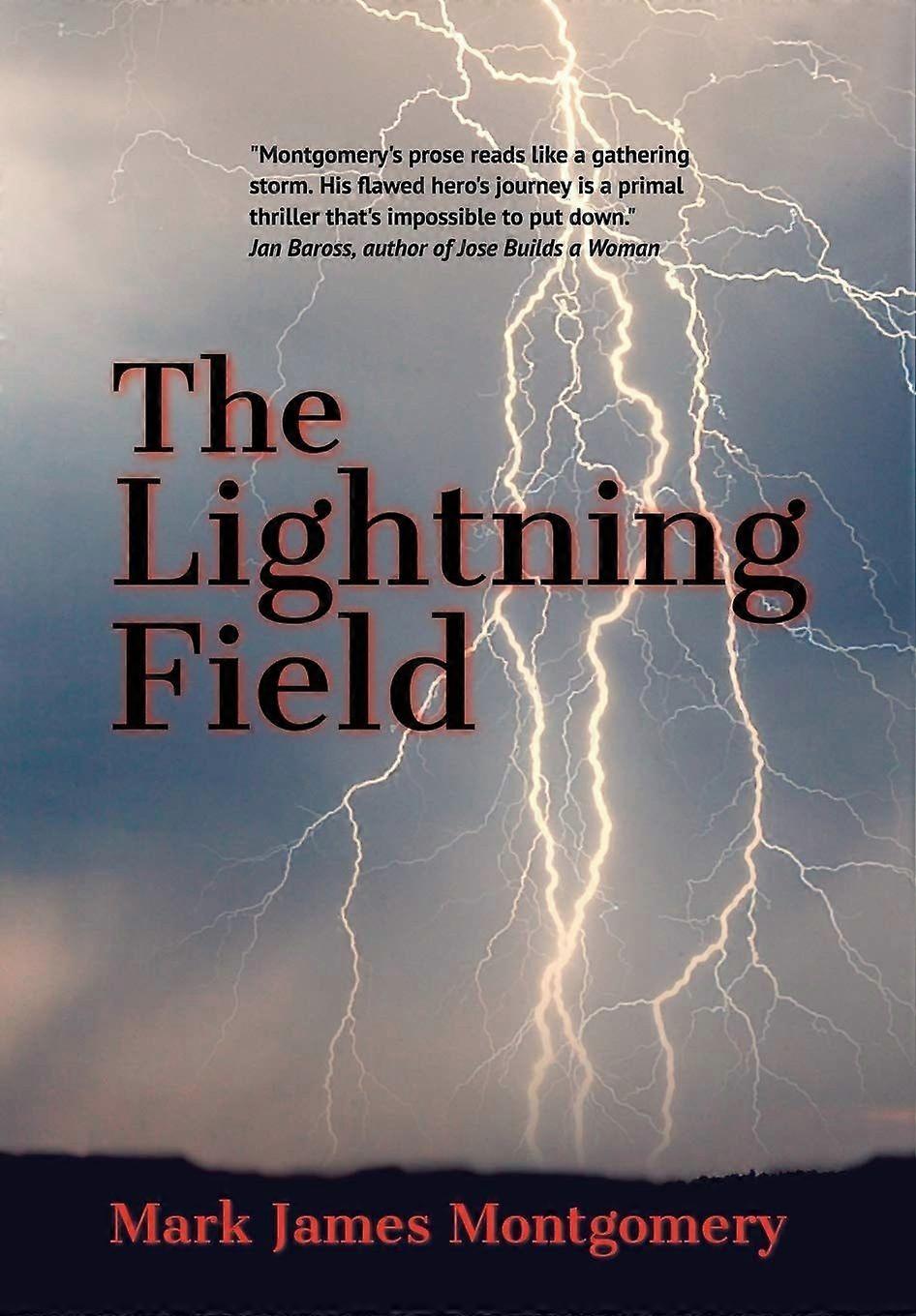 The lightning field