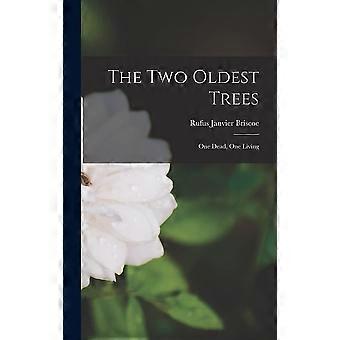 The two oldest trees one dead, one living