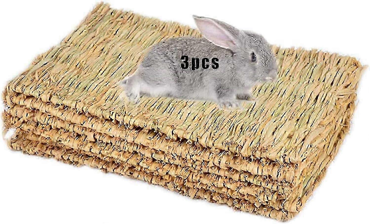 2026 3PCS foot pads small