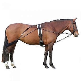 Hy Horse Longeersysteem