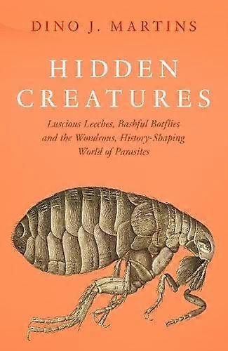 Hidden Creatures Hb - Dino Martins