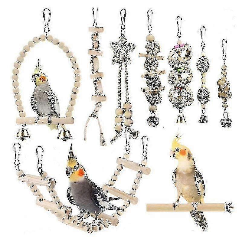 9-Piece Bird Enrichment Set