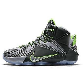 Nike LeBron 12 Dunk Force 684593-001