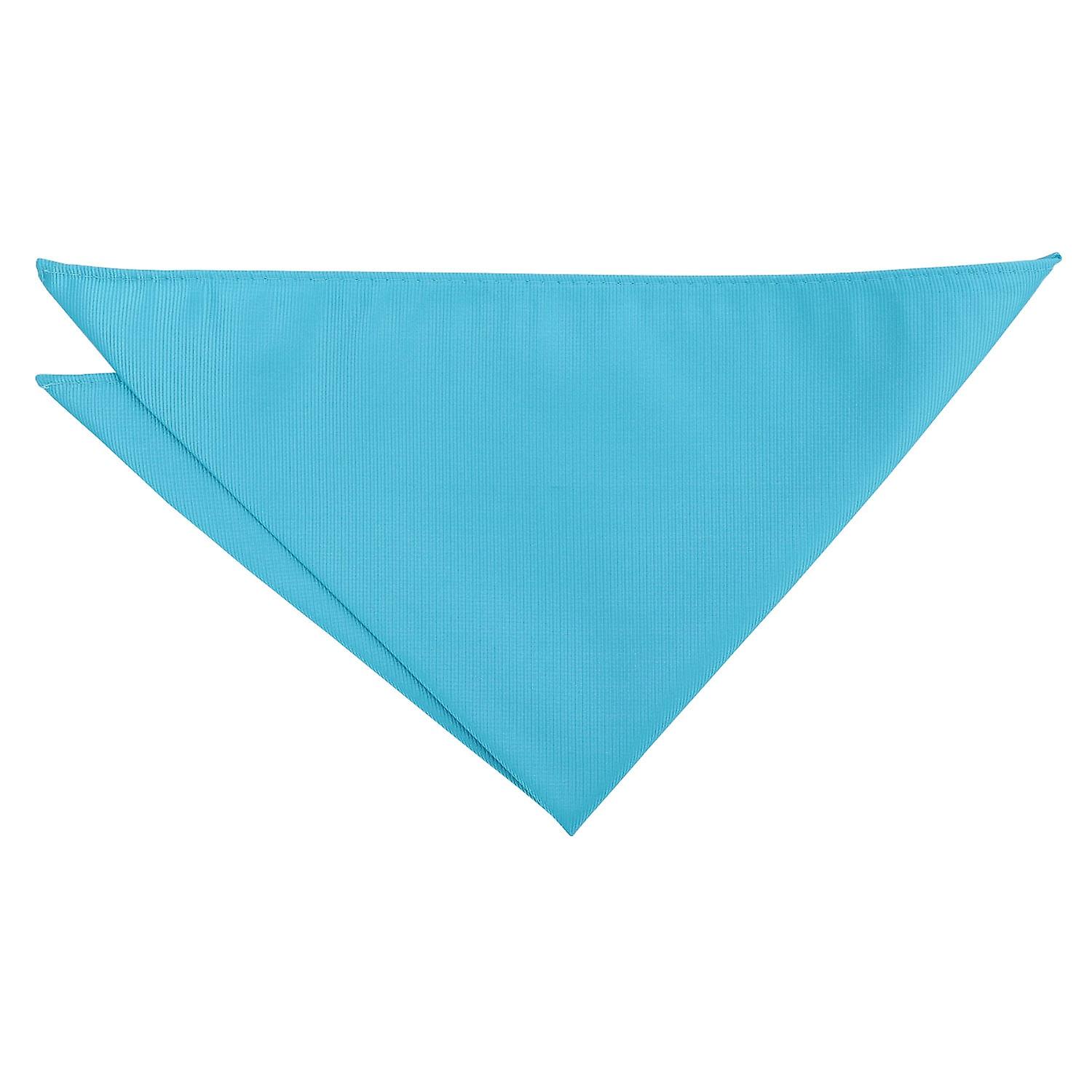 Robin's Egg Blue Plain Twill Pocket Square