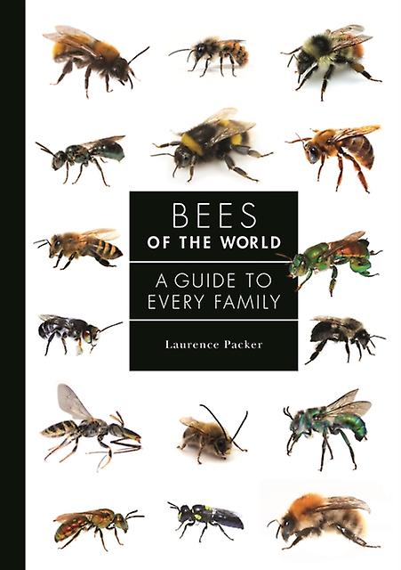 Bees Of The World by Laurence Packer Paperback Book