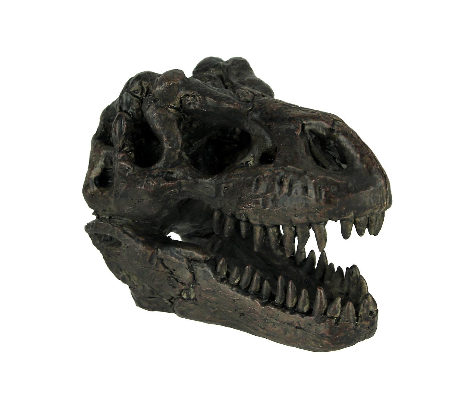 Tyrannosaurus Rex Dinosaur Skull Fossil Statue Small