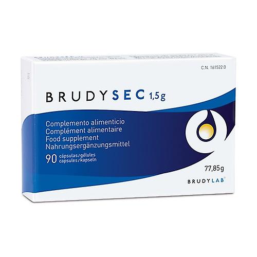 Brudy sec 90 capsules
