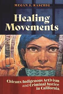 Healing Movements by Megan S. Raschig Paperback Book