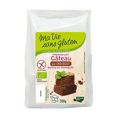 Organic chocolate cake 300 g