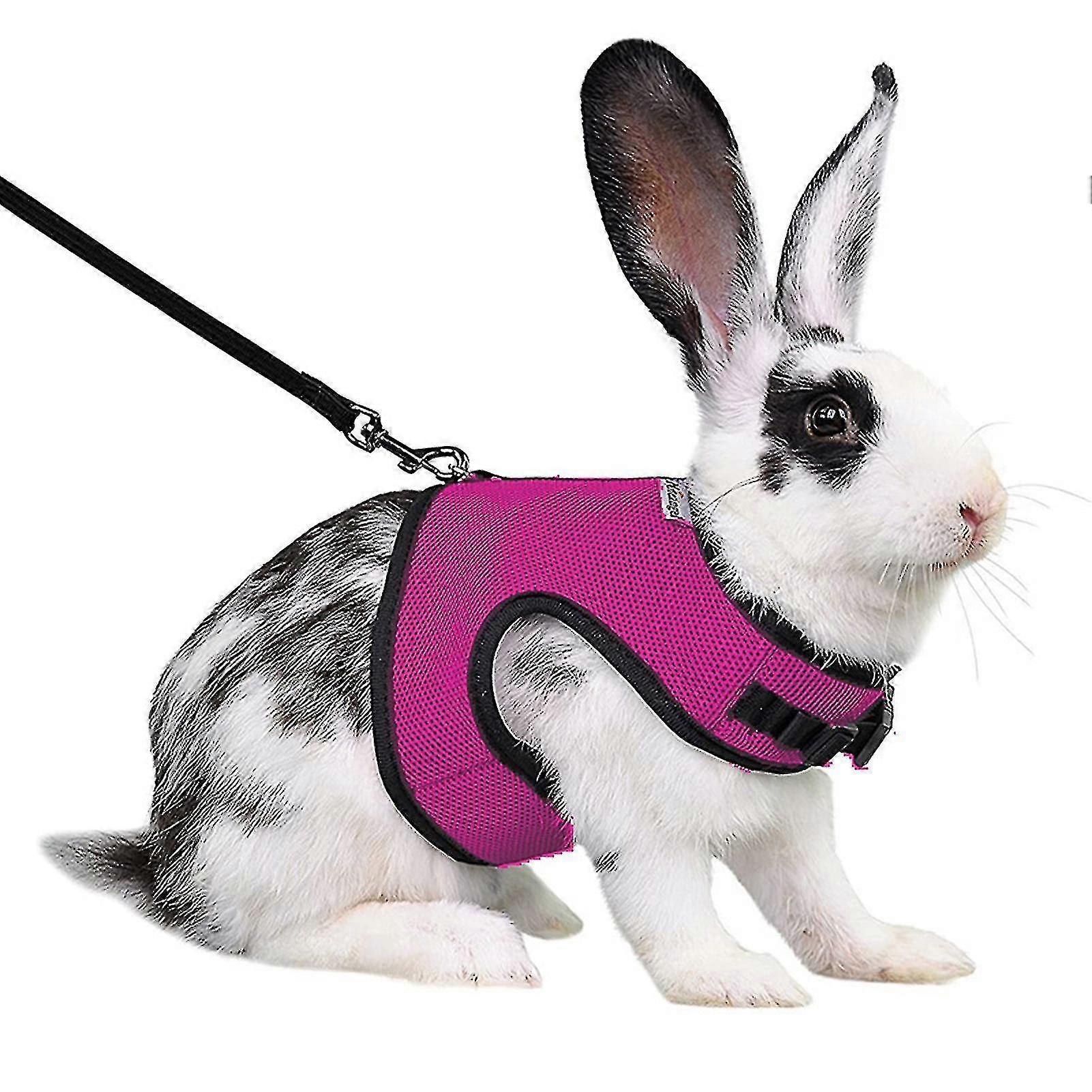 Harness Comfortable Adjustable Traction Tool Ferret Rats Soft Mesh Harness Leash Vest Set Pet