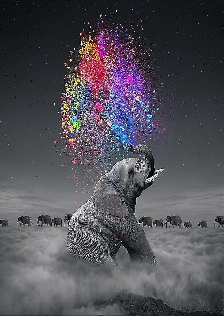 5D diamant tegning maleri kits 30x40cm (stil 21)