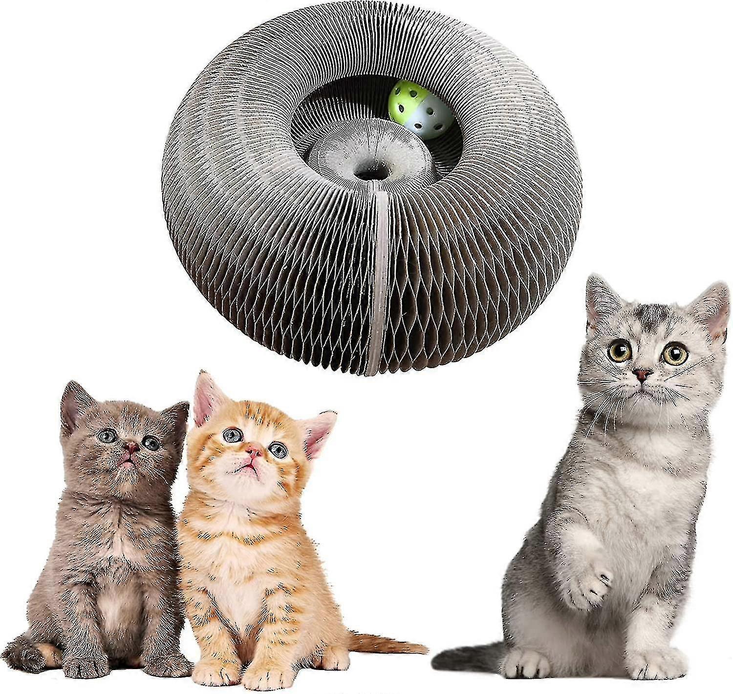 Magic Organ Cat Scratching Board, Interactive Cat Scratching Toy, Cat Grinding Claw Scratching Board